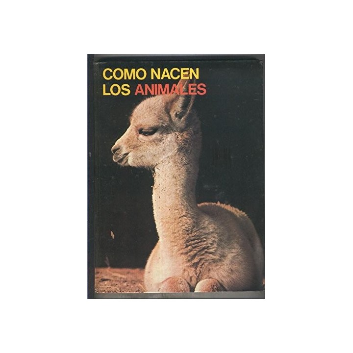 COMO NACEN LOS ANIMALES